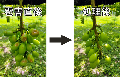 被害の状況1